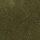 color LODEN 1