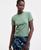 color Cool Olive 2
