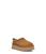 color Chestnut 1
