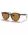 color HAVANA/POLAR BROWN 1