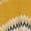 color Marigold 0
