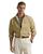 color Beige 1