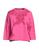 color Fuchsia 1
