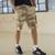 color Tan Camo 6