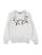 color Light grey 2