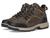 color Dark Taupe Multi 1
