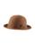 color Camel 1