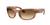 color Clear Gradient Brown 0