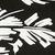 color BLACK/WHT TROPIC 17
