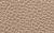 color BIRCH 1