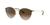 color Brown Gradient 1