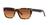 color Brown 1