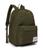color Ivy Green 10