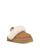 color Chestnut 1