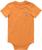 color Exotic Orange 8