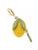 color CORN 3
