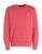 color Coral 3