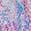 color Daphne Multi 1