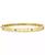 color Yellow Gold & Blue Sapphire 1