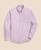 color Purple 1