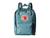 color Sky Blue 10