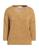 color Camel 1