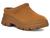 color Chestnut 1