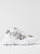 color WHITE 1
