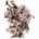 color 308 CLAIR OBSCUR 7