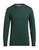 color Dark green 0