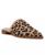 color Leopard 2