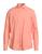 color Salmon pink 0