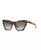 color Tortoise Brown 2
