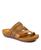 color Brown 1