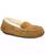 color Chestnut 2
