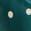 color Dark Green 3