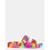 color bright multi 2