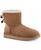 color Chestnut 1