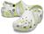 color White/Microchip 12