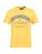 color Yellow 0
