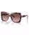 color Plum Graphic Tortoise 0