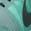 color Cannon/ Seaweed/ Mint 9