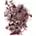 color CHOCOLAT 0