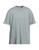 color Sage green 1