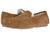color Chestnut 2