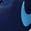 color Blue Void/ Blue/ White/ Black 2