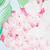 color Pink Hydrangea 4