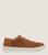 color Tan 1