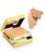 color Honey Beige 5