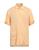 color Apricot 1